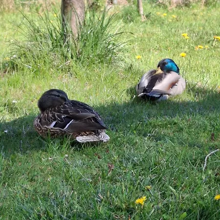 Kwatera prywatna Słoneczne Pieniny