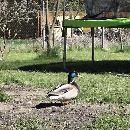 Kwatera prywatna Słoneczne Pieniny